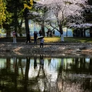 北京旅游 缩略图 8