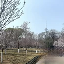 北京旅游 缩略图 1
