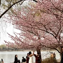 北京旅游 缩略图 7