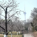北京旅游 缩略图 3