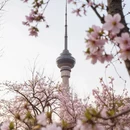 北京旅游 缩略图 1