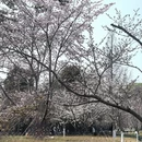 北京旅游 缩略图 2