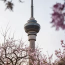 北京旅游 缩略图 2