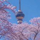 北京旅游 缩略图 2