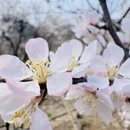 北京旅游 缩略图 4