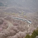 北京旅游 缩略图 2