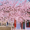 北京旅游 缩略图 4