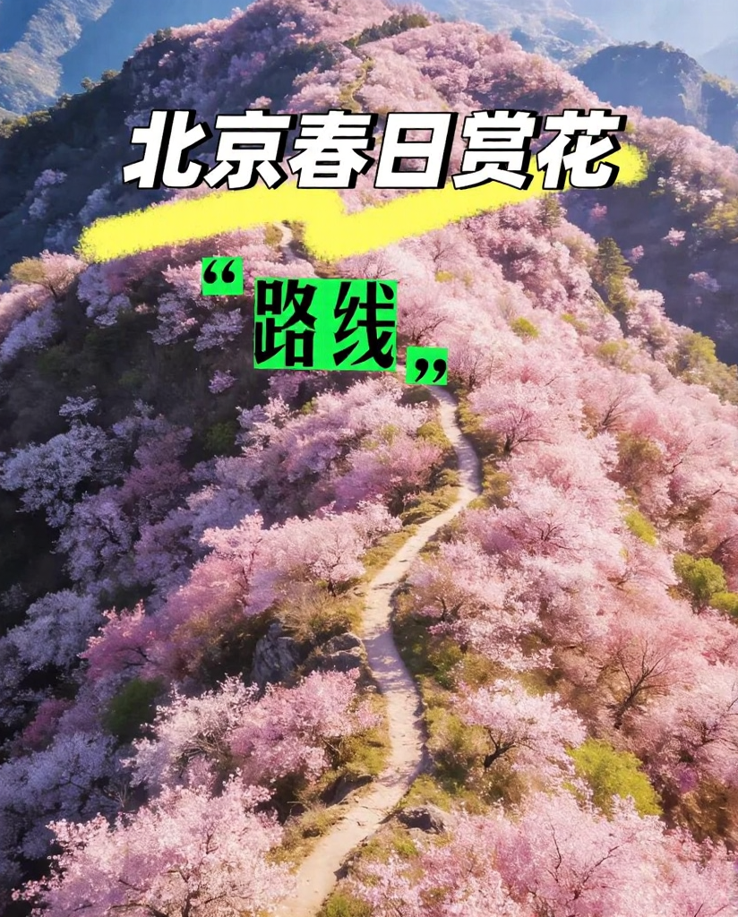 北京旅游
