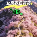 北京旅游 缩略图 1