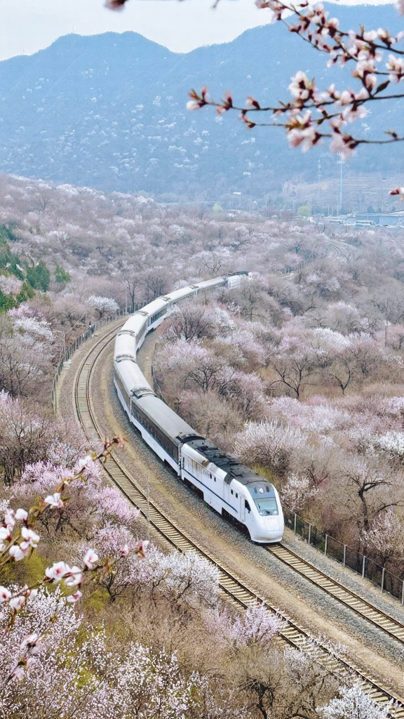 北京旅游