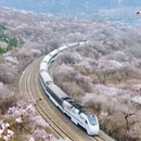 北京旅游 缩略图 1