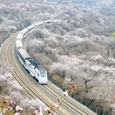 北京旅游 缩略图 3