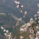北京旅游 缩略图 3