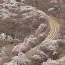 北京旅游 缩略图 1