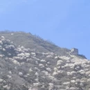 北京旅游 缩略图 3