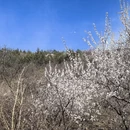北京旅游 缩略图 15