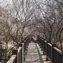 北京旅游 缩略图 14
