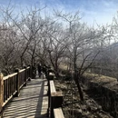 北京旅游 缩略图 16