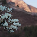 北京旅游 缩略图 6