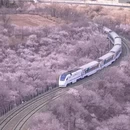北京旅游 缩略图 2