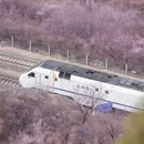 北京旅游 缩略图 3