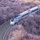 北京旅游 缩略图 1