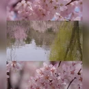 北京旅游 缩略图 1