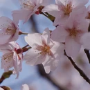 北京旅游 缩略图 4