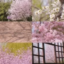 北京旅游 缩略图 10