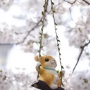 北京旅游 缩略图 1