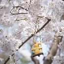 北京旅游 缩略图 7