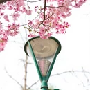 北京旅游 缩略图 9