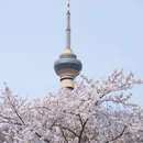 北京旅游 缩略图 10