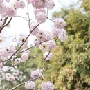 北京旅游 缩略图 8