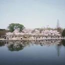 北京旅游 缩略图 16
