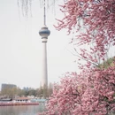 北京旅游 缩略图 15