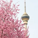 北京旅游 缩略图 13