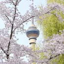北京旅游 缩略图 12