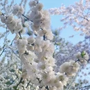 北京旅游 缩略图 8