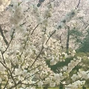 北京旅游 缩略图 15