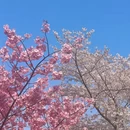 北京旅游 缩略图 16