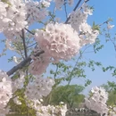 北京旅游 缩略图 13