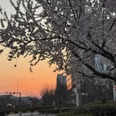 北京旅游 缩略图 16