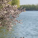 北京旅游 缩略图 6