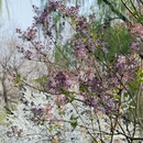 北京旅游 缩略图 9