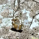 北京旅游 缩略图 12