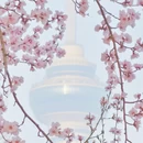 北京旅游 缩略图 3