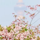 北京旅游 缩略图 1