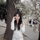 北京旅游 缩略图 4