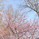 北京旅游 缩略图 6